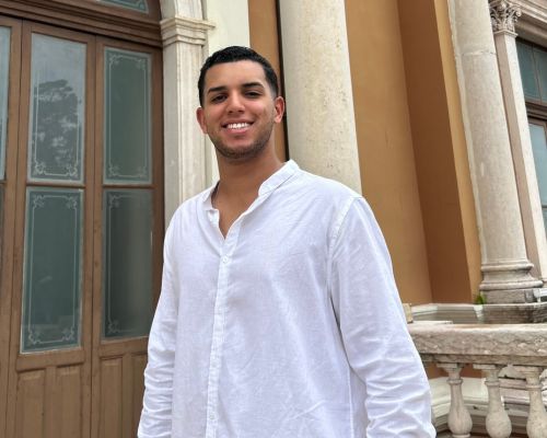 Henrique Araujo Silva